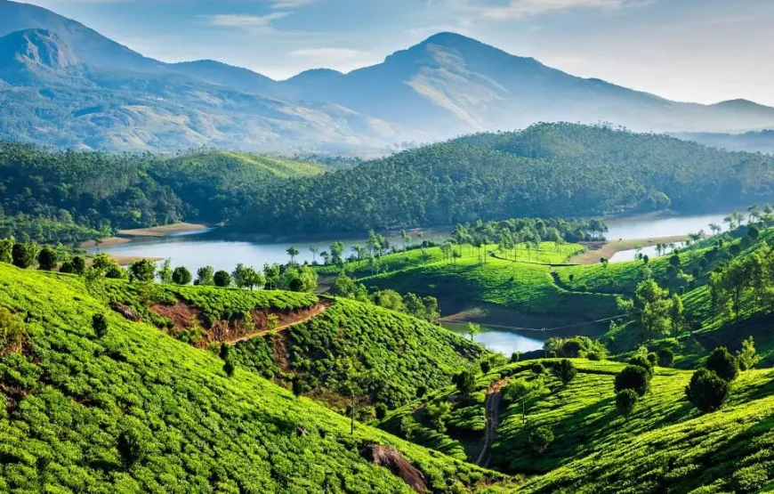 Munnar & Vagamon 4D/3N Premium Tour Package