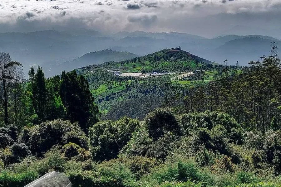 Ooty City Tour (Shared)