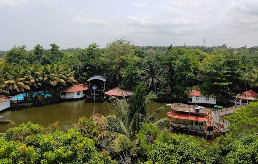 Kumarakom 2D/1N Budget Honeymoon Package