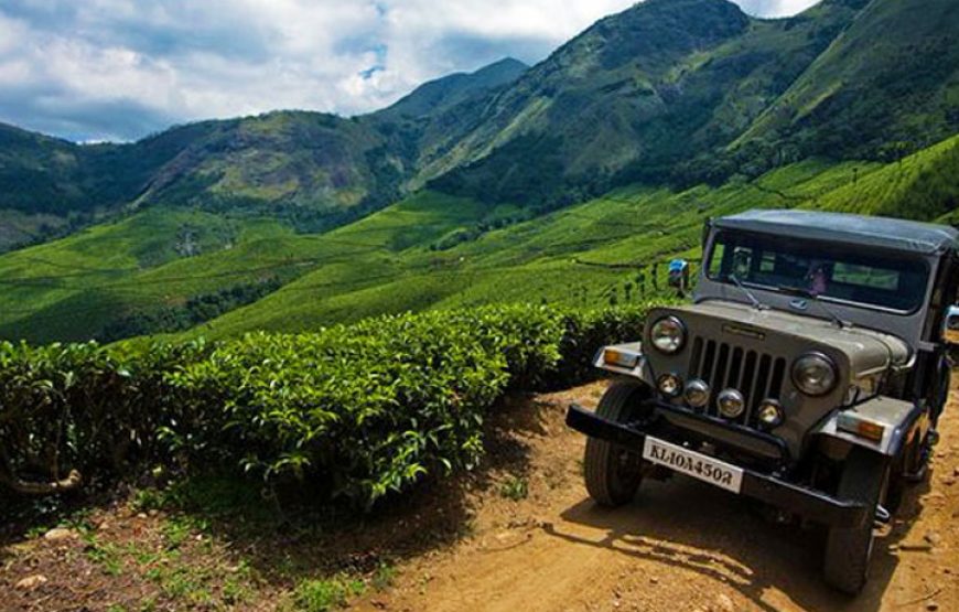 Munnar 2D/1N Luxury Honeymoon Package