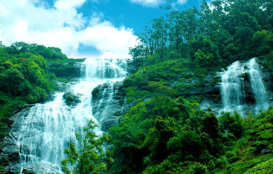 Munnar 2D/1N Budget Honeymoon Package