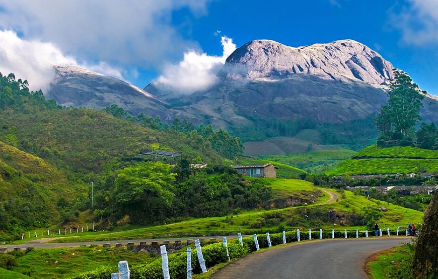 Munnar & Alleppey 4D/3N Deluxe Honeymoon Package