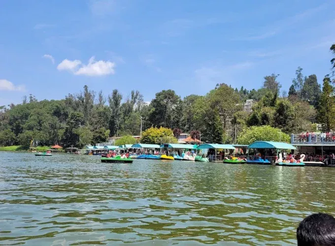 Ooty