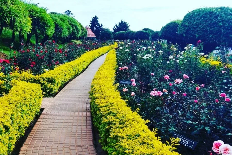 Ooty City Tour (Shared)