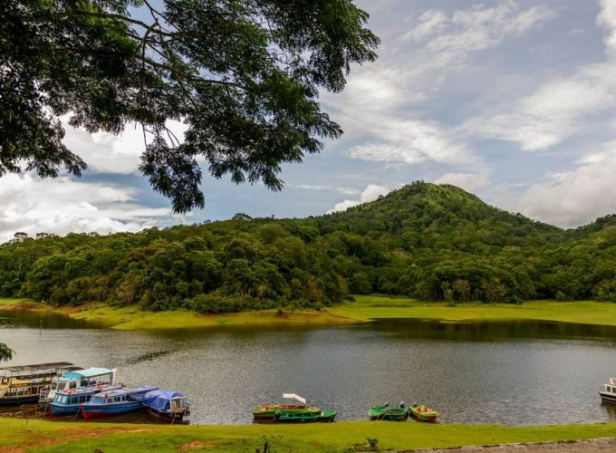 Thekkady 2D/1N Deluxe Honeymoon Package