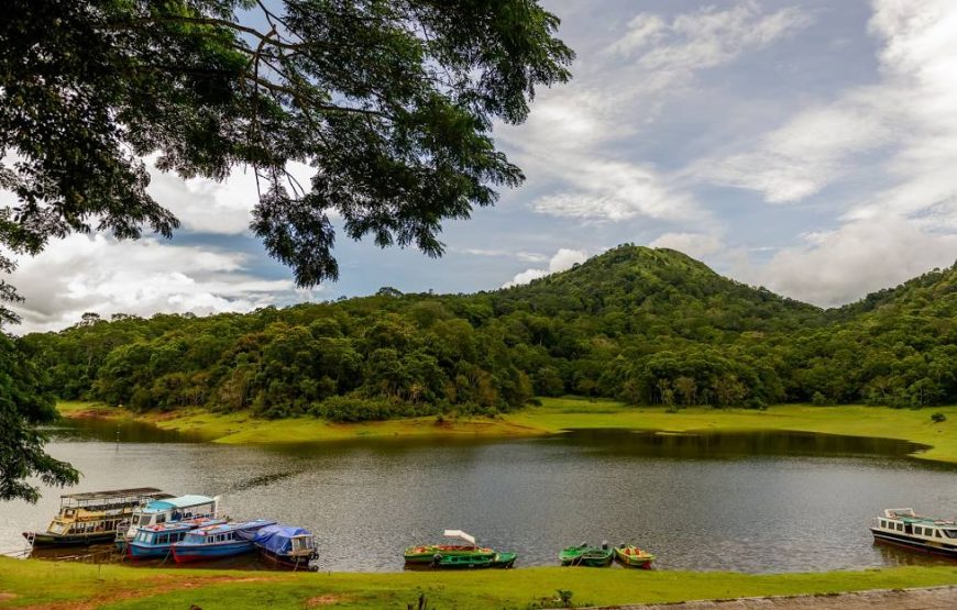 Thekkady 2D/1N Deluxe Honeymoon Package