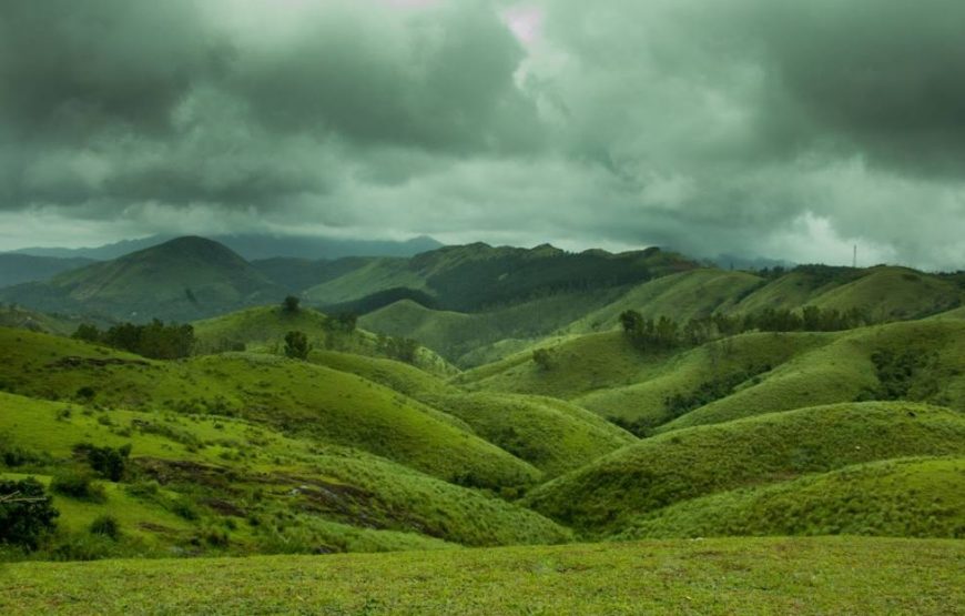 Munnar & Vagamon 4D/3N Premium Tour Package