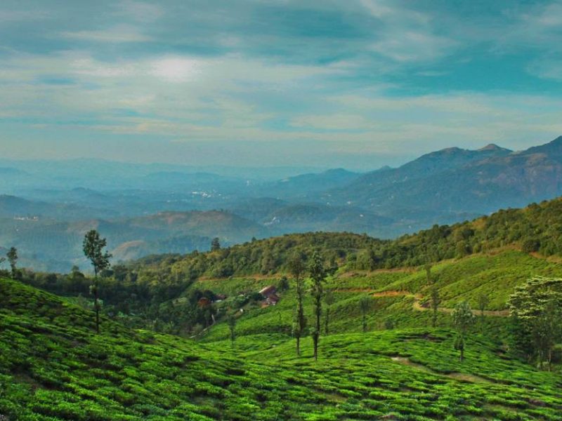Wayanad 2D/1N Budget Honeymoon Package