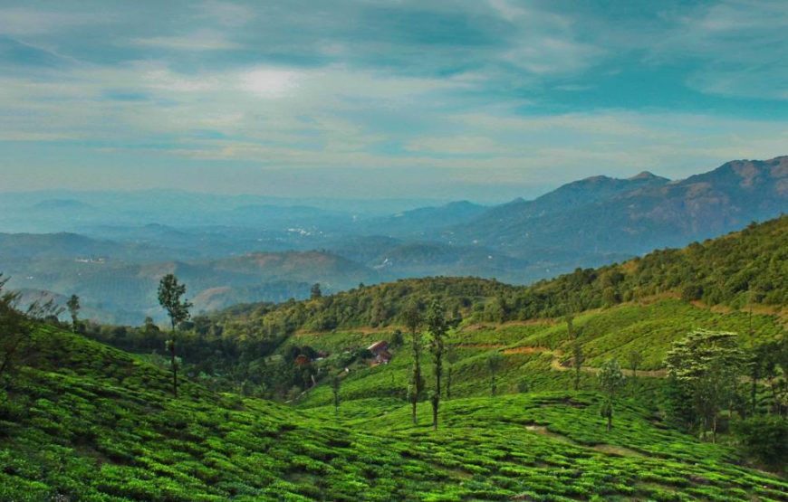 Wayanad 2D/1N Budget Honeymoon Package