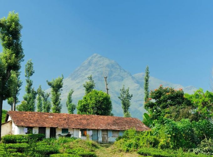 Wayanad 2D/1N Luxury Honeymoon Package