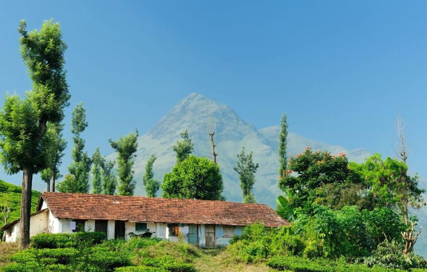 Wayanad 2D/1N Luxury Honeymoon Package