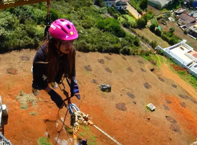 Bungee Swing