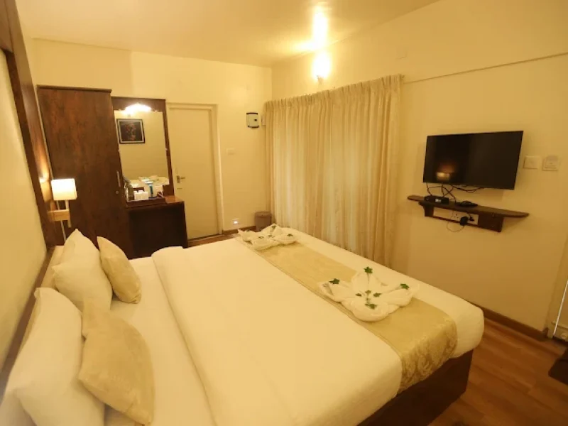 Deluxe Room Non View