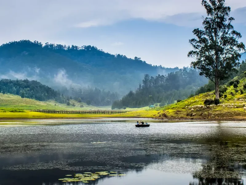 Kodaikanal 3D/2N Deluxe Honeymoon Package