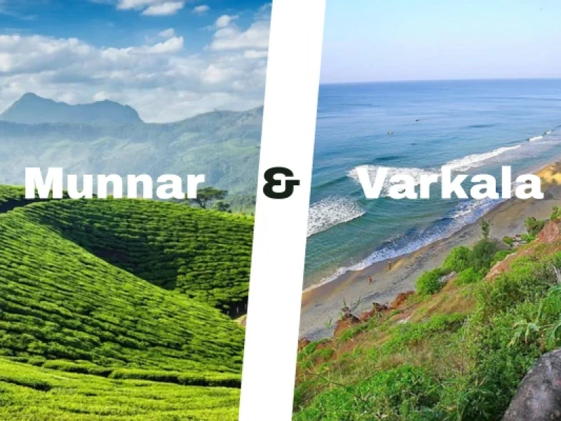 Munnar & Vakala 6D/5N Honeymoon Package