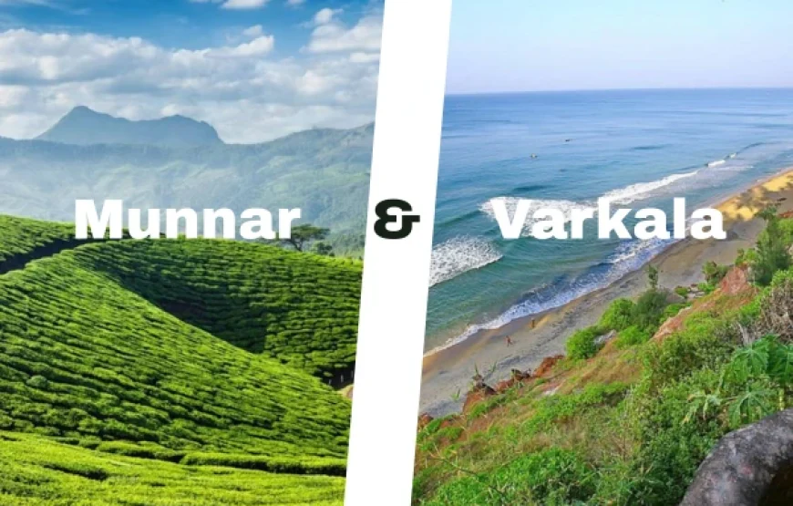 Munnar & Vakala 6D/5N Honeymoon Package