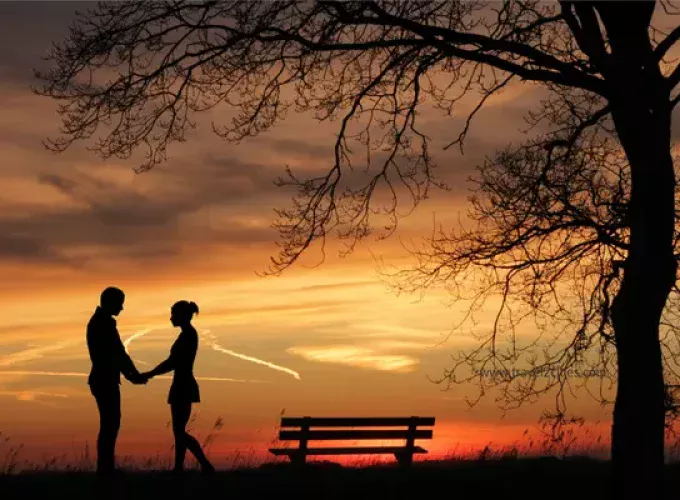Ooty Honeymoon Packages 4 Days 3 Night