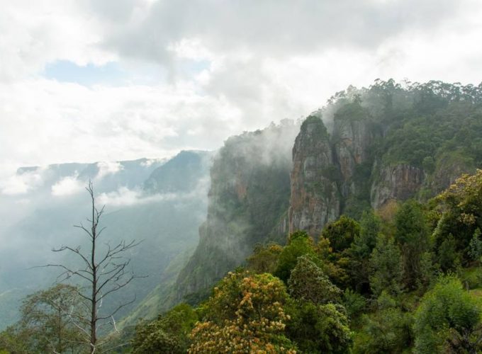 Kodaikanal Tour Package 2 Days 1 Night