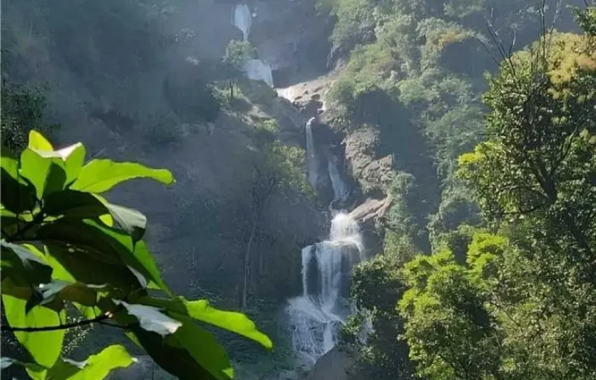 Coimbatore 1 Day Tour