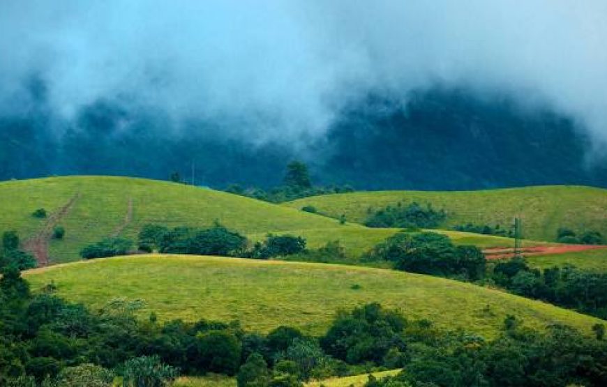 Vagamon, Thekkady and  Alleppey 5D/4N Honeymoon Package